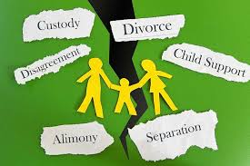 Criminal Litigation
